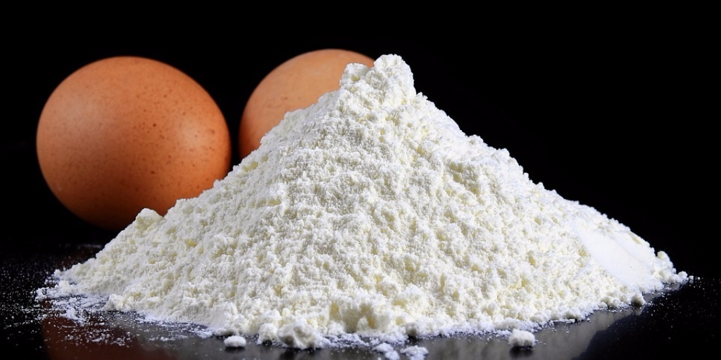 Egg White Protein Powder for Muscle Growth