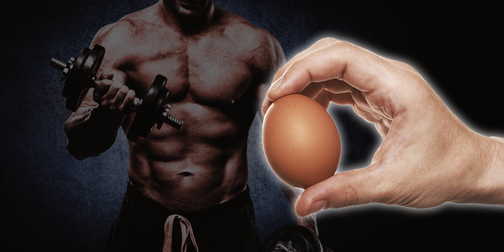 Egg White Protein Powder for Muscle Growth