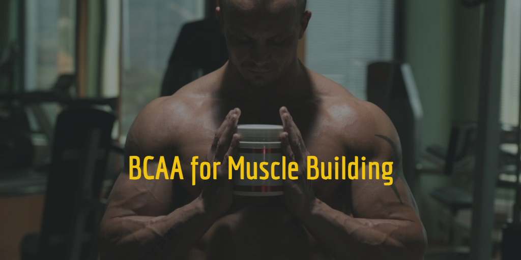 Muscle Building and BCAA